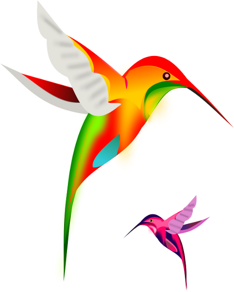 Hummingbird clip art download