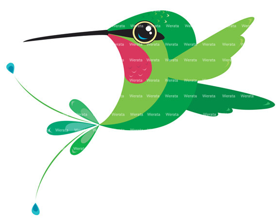 Hummingbird clip art love this sweet bird illustration it'an