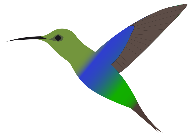 Hummingbird clipart 3
