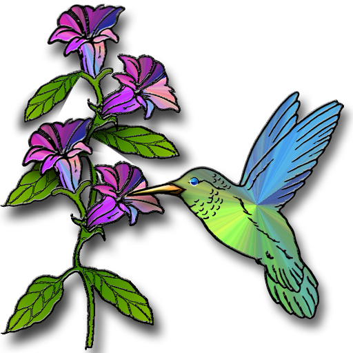 Hummingbird clipart 4