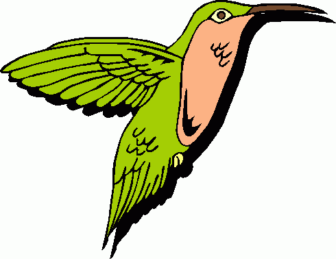 Hummingbird clipart free 4 clipartix