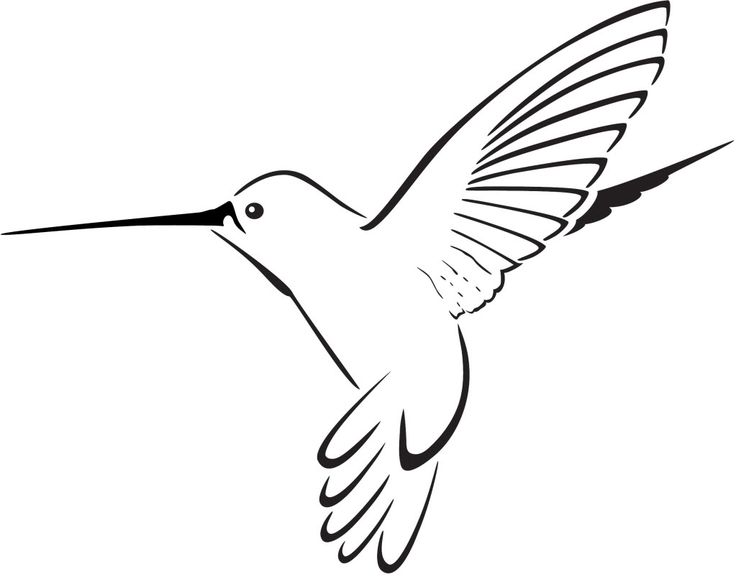 Printable hummingbird clipart clipartme