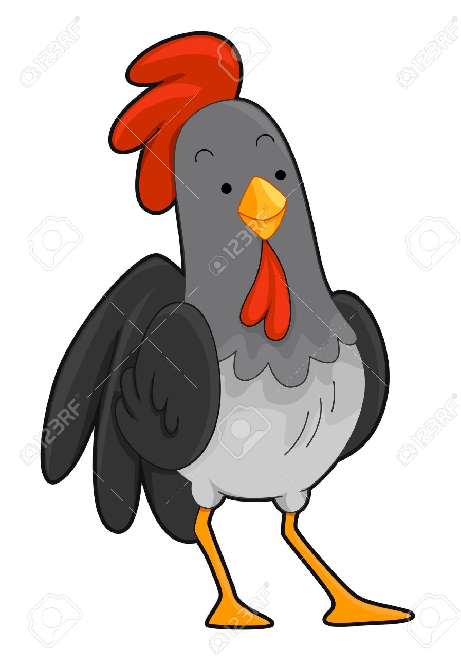 Rooster clipart 3