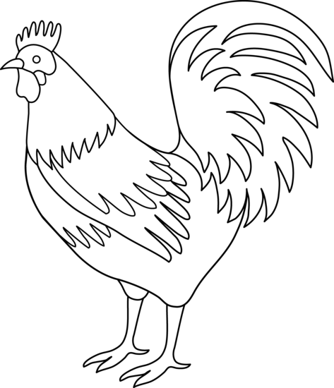 Roosterloring page free clip art
