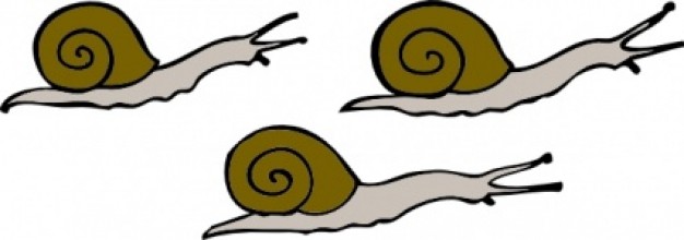 Snail clip art at vector free image clipartix
