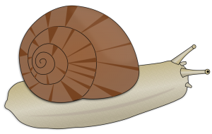 Snail clip art download