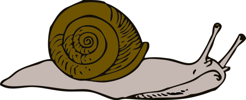 Snail clipart 3