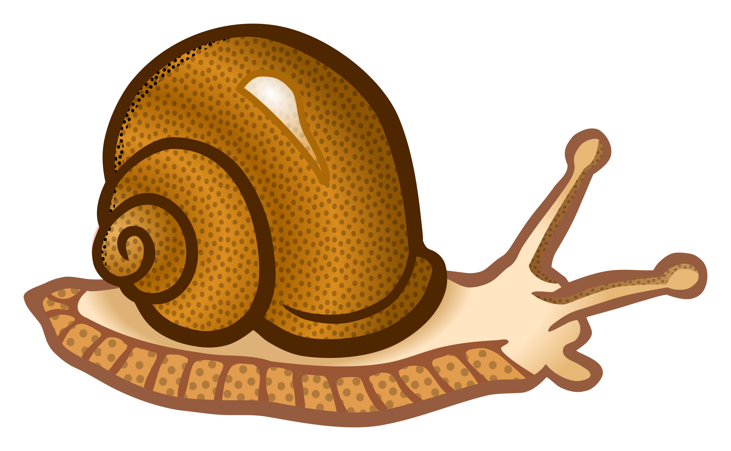 Snail clipart schliferaward 2