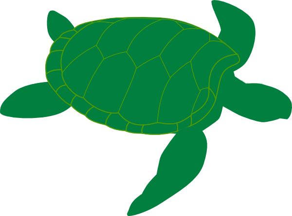 Cartoon sea turtle clipart wikiclipart