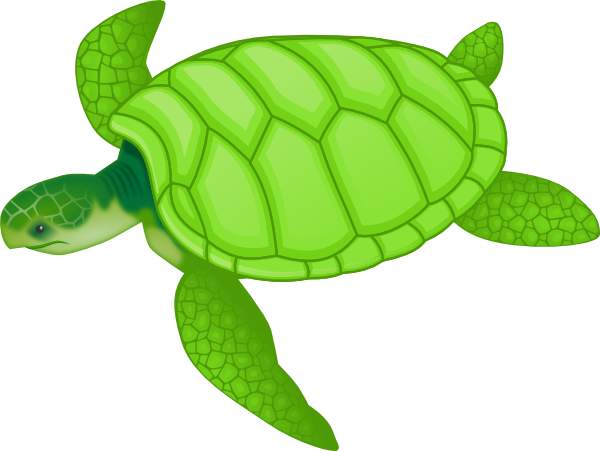 Clipart sea turtle biezumd 2