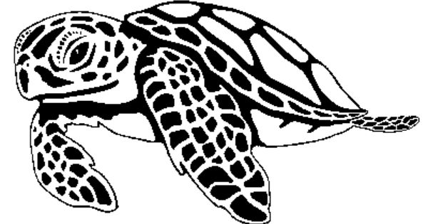 Hawaiian sea turtle clipart free images 2