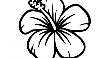 Hibiscus drawings clip art free vector images graphics