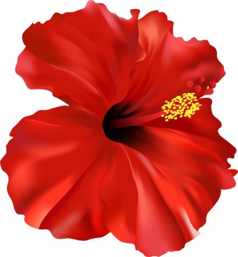 Hibiscus love the depth in center inspiration clipart