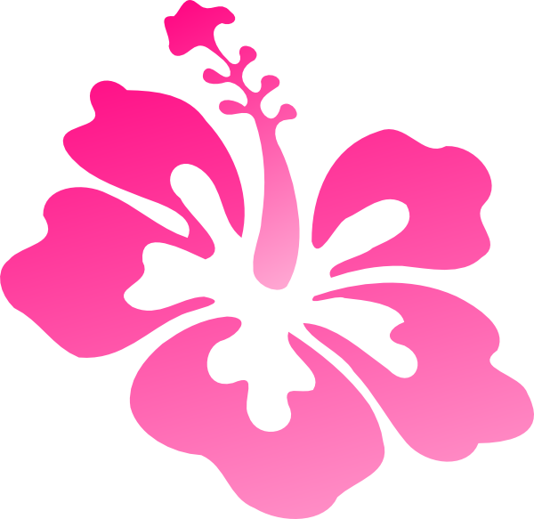 Hibiscus pink clip art at vector clip art