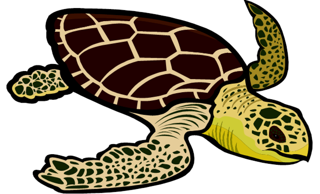 Leatherback turtle clipart sea turtles