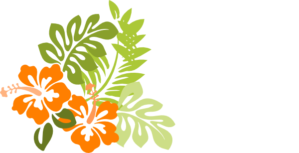 Orange hibiscus clip art at vector clip art