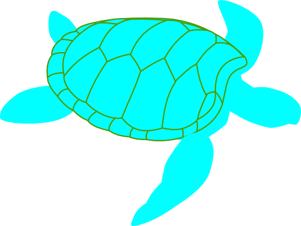Sea turtle clip art at vector wikiclipart