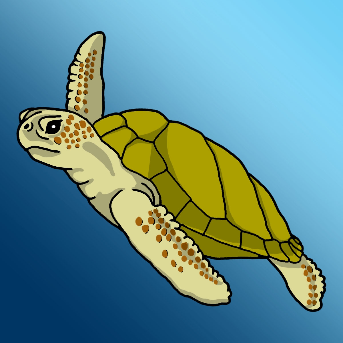 Sea turtle clip art biezumd