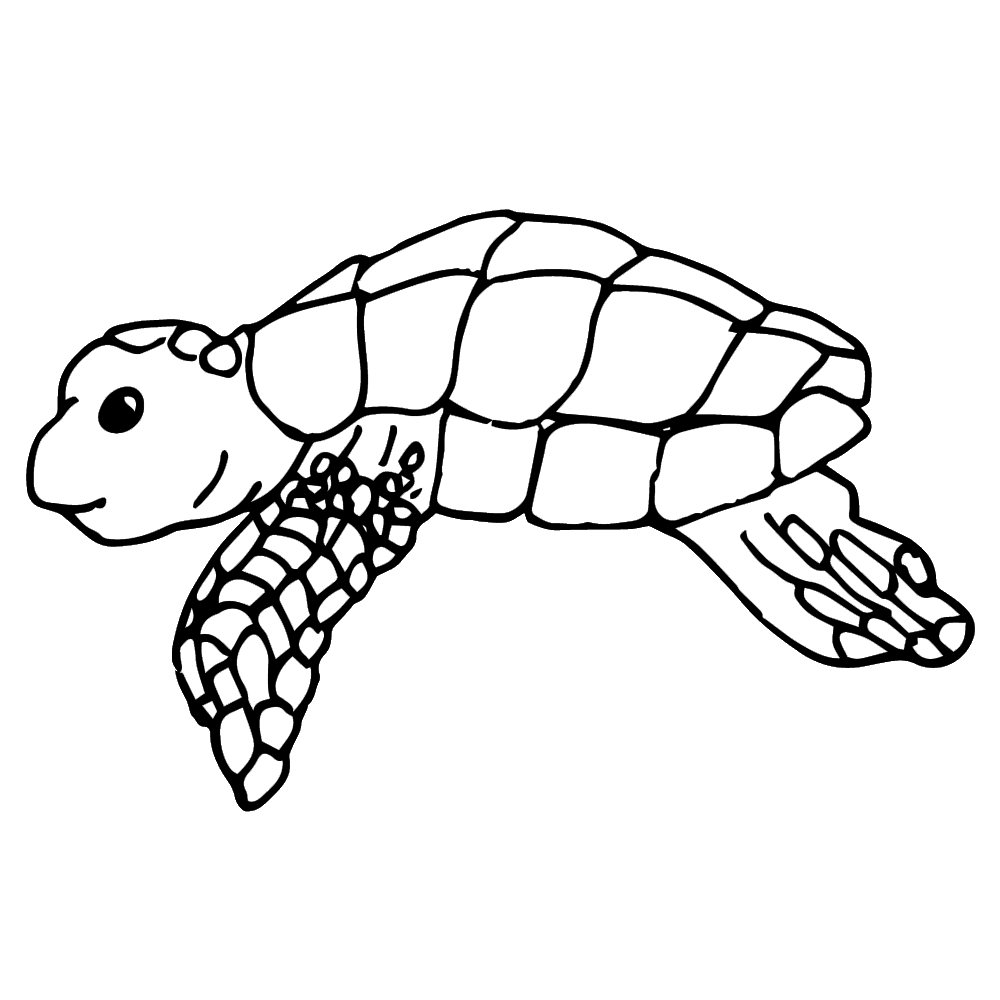 Sea turtle clipart 2