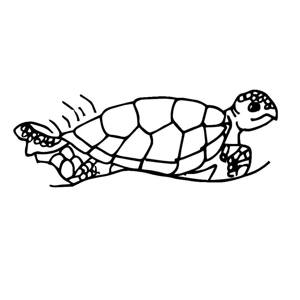 Sea turtle clipart 3