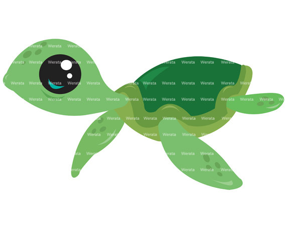 Sea turtle clipart of a baby turtlellection