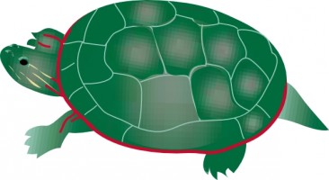Sea turtle turtle clip art biezumd 2
