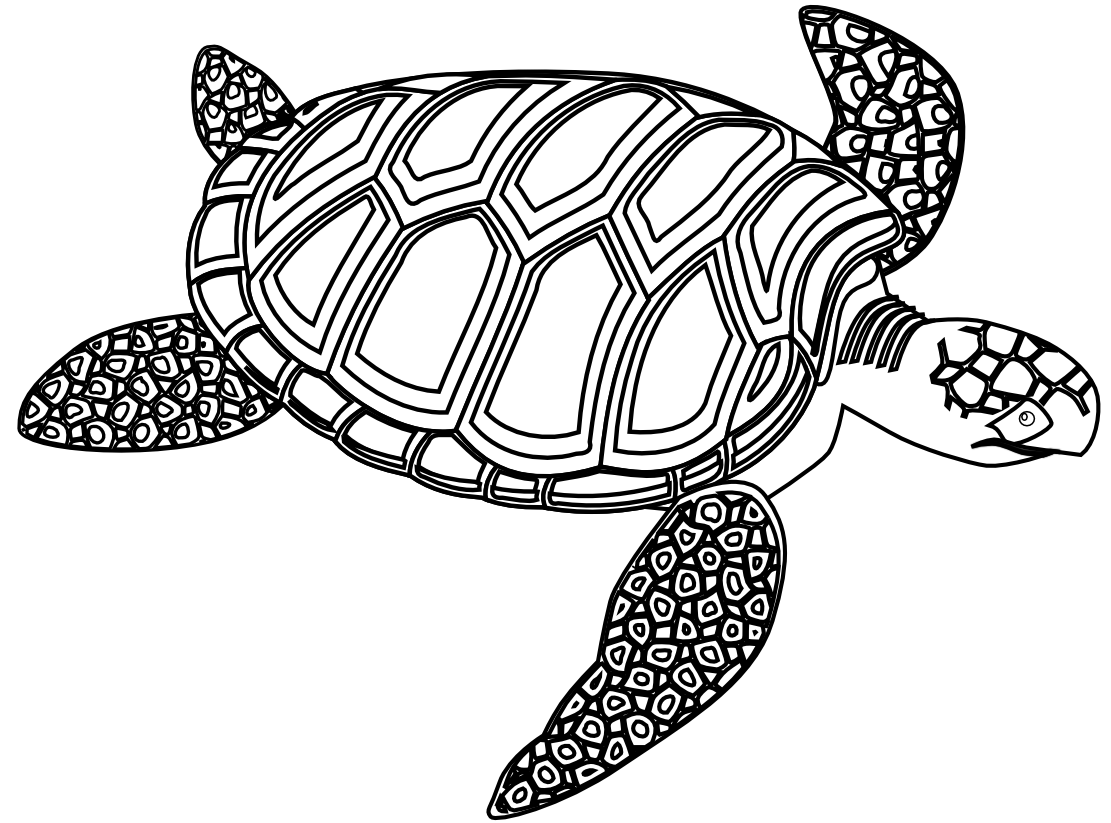 Sea turtle turtle clip art black and white free clipart images