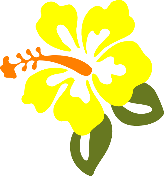 Yellow hibiscus clip art at vector clip art