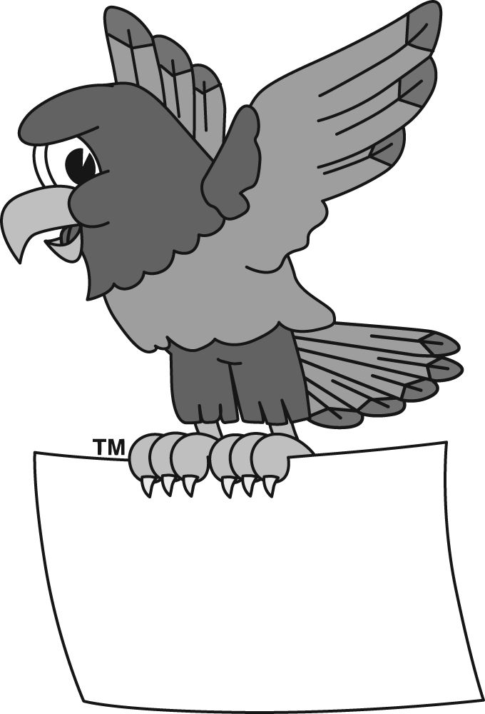 8 hawks images on hawks clip art and cartoon