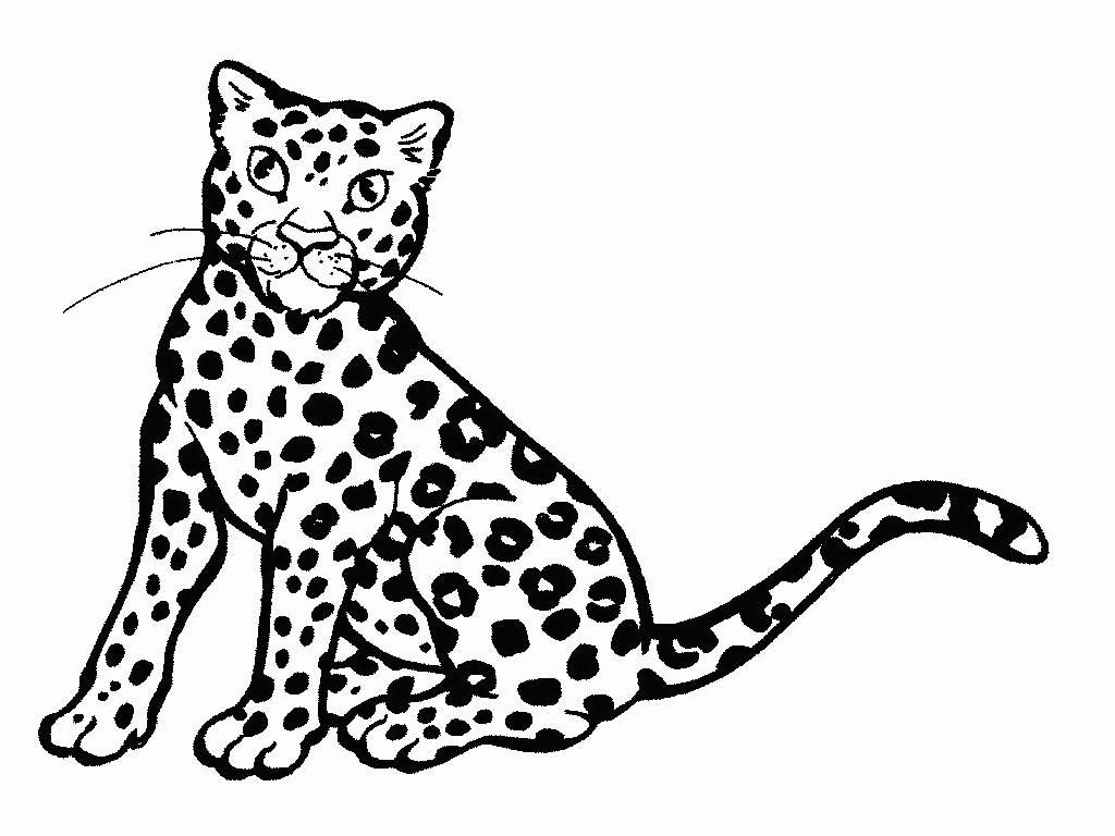 Cheetah clip art 6 free clipart images wikiclipart