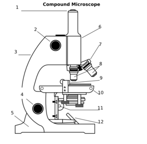 Compound microscope clip art at vector clip art