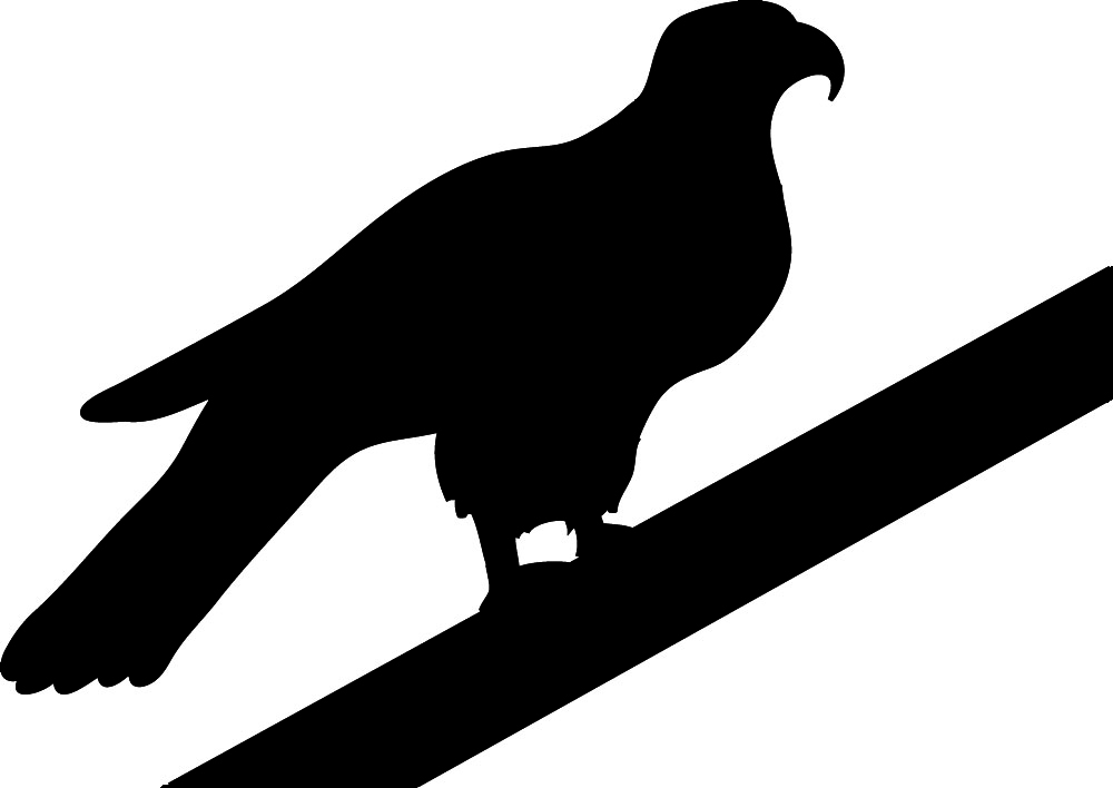 Hawk clip art clipart 2 wikiclipart