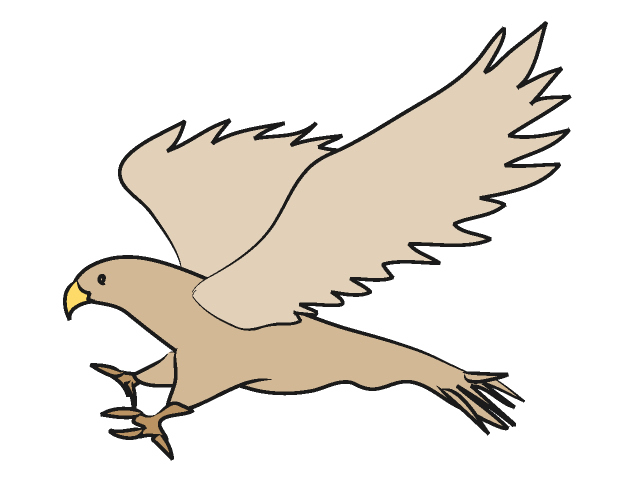 Hawk mascot clipart free images