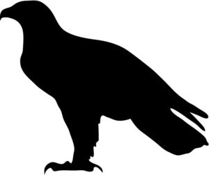 Hawk silhouette ideas on ol silhouettes cliparts