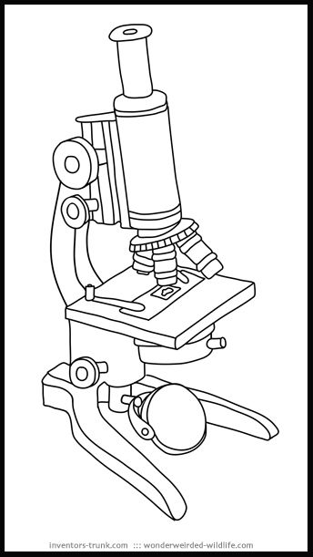 Microscope light microscopy clipart simple pencil and inlor light 2
