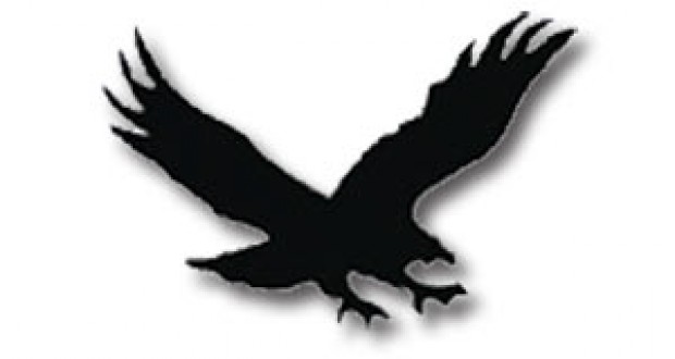 Top hawk clip art free clipart image 2