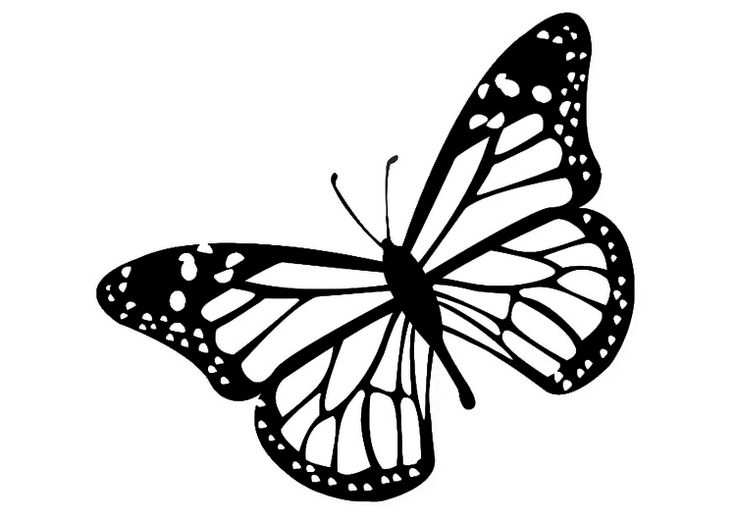 Clipart butterfly black and white jpg