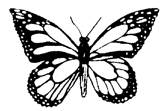 butterfly black Butterfly clipart black and white gif