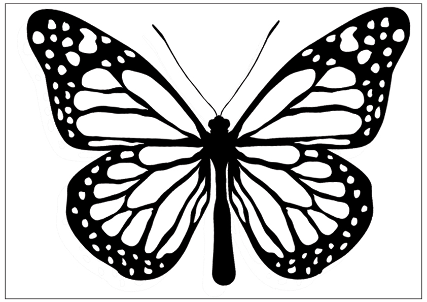 butterfly black Butterfly images black and white free download clip art jpg 2
