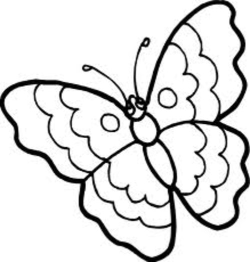 Butterfly black and white cartoon butterfly clipart jpeg