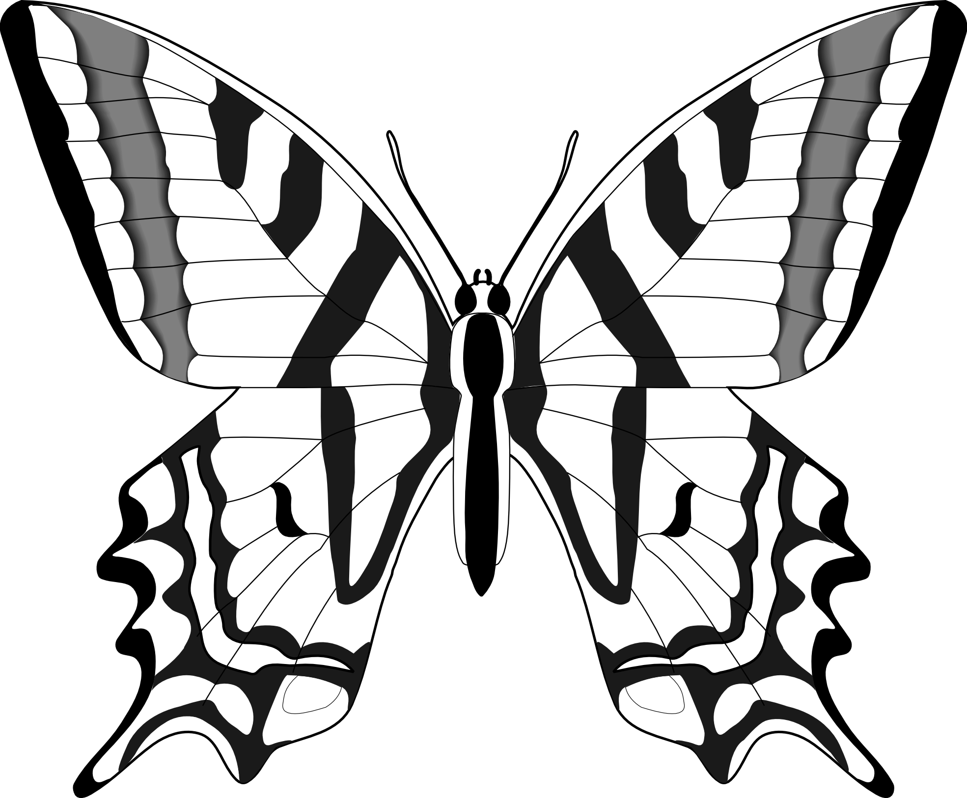 butterfly black Simple black and white butterfly clipart jpg