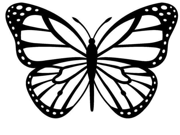 butterfly black Monarch butterfly clipart black and white pencil inlor jpg