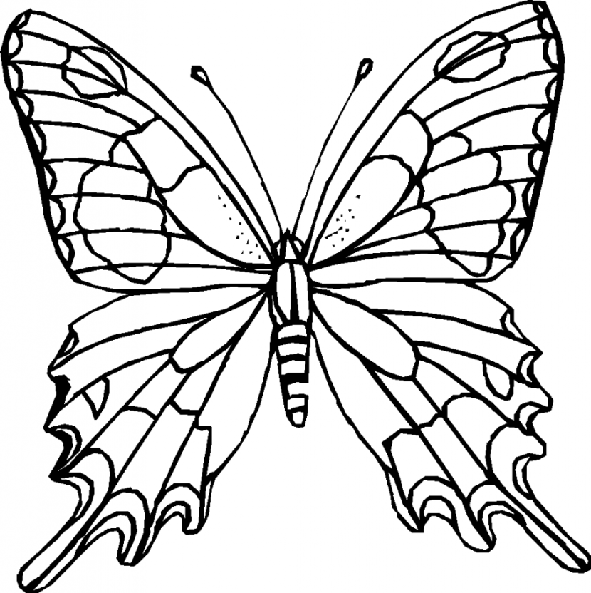 Clipart butterfly black and white png