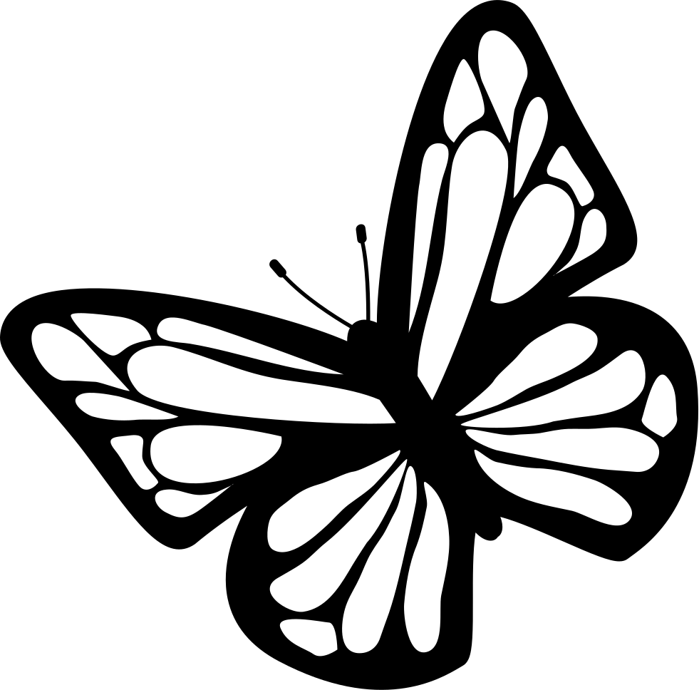 Butterfly black and white clipart download free images in png