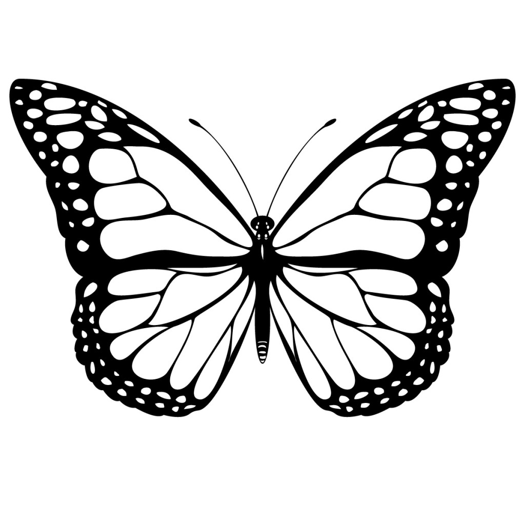 butterfly black Butterfly images black and white free download clip art jpg