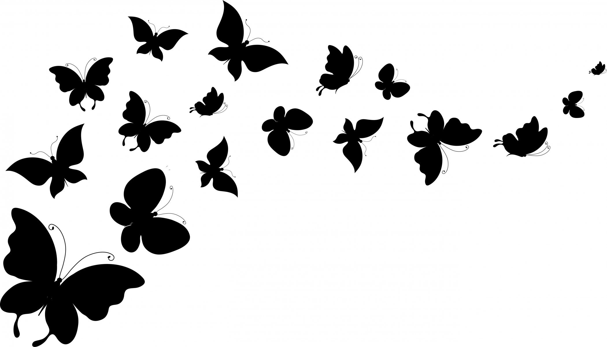 Butterfly black and white background 6 backgroundcheckall jpg