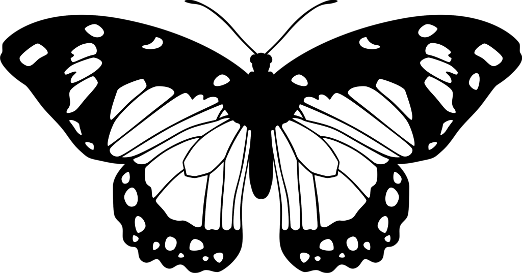 Butterfly black and white by eiluvision on deviantart png