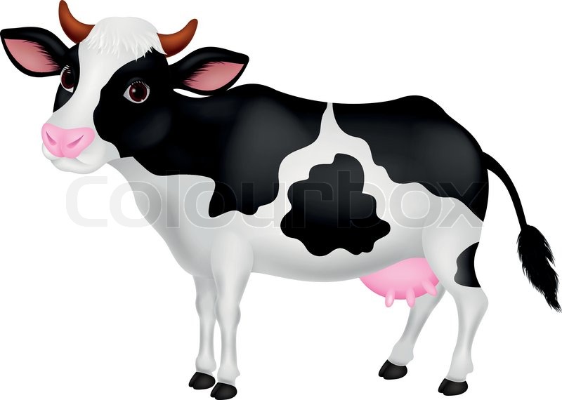 cartoon cow Vector cutew cartoon stock lour jpg