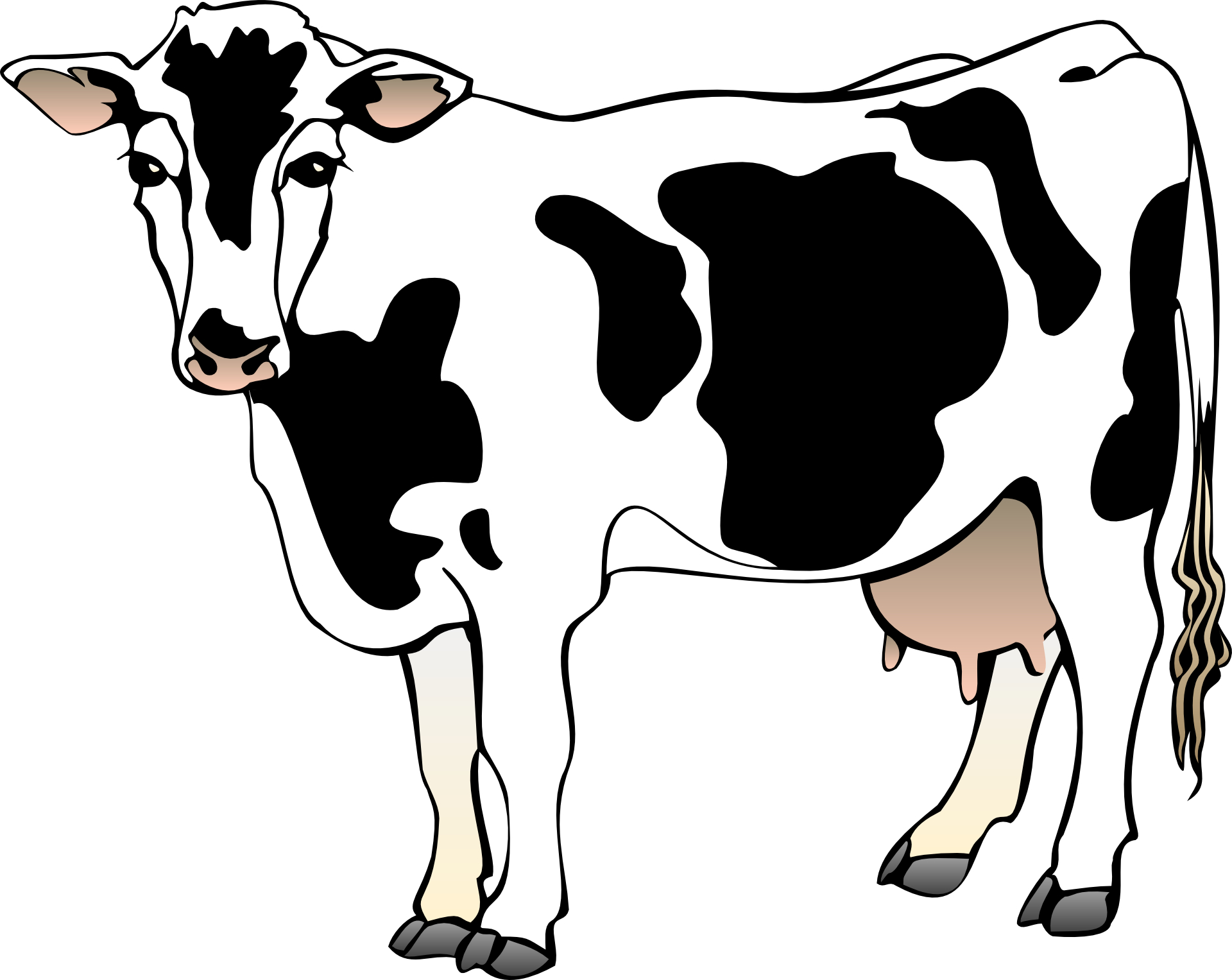 cartoon cow Cow vector cartoon animal free psd vector icons a udder jpg
