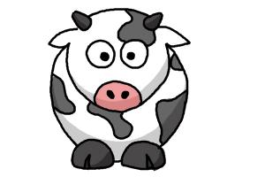 cartoon cow How to draw a cartoonw drawingnow jpg